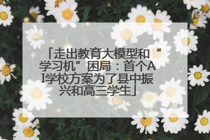 走出教育大模型和“学习机”困局：首个AI学校方案为了县中振兴和高三学生