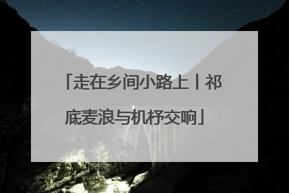 走在乡间小路上丨祁底麦浪与机杼交响