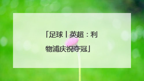 足球丨英超：利物浦庆祝夺冠
