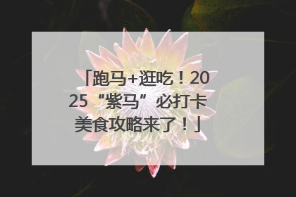 跑马+逛吃！2025“紫马”必打卡美食攻略来了！