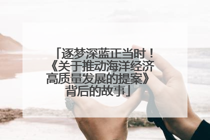 逐梦深蓝正当时！《关于推动海洋经济高质量发展的提案》背后的故事