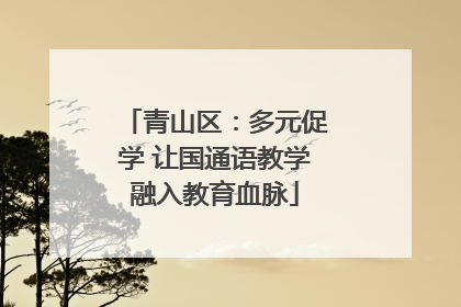 青山区：多元促学 让国通语教学融入教育血脉