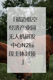 靖边低空经济产业园无人机研发中心N2标段主体封顶