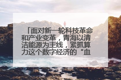 面对新一轮科技革命和产业变革，青海以清洁能源为主线，紧抓算力这个数字经济的“血液”、科技主权的“筹码”、产业升级的“杠杆”、绿色转型的“支点”，勇于撬动国家“双碳”战略、“东数西算”工程重大发展新机遇