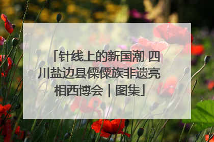 针线上的新国潮 四川盐边县傈僳族非遗亮相西博会｜图集