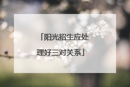 阳光招生应处理好三对关系