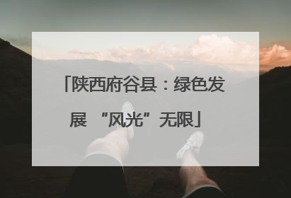 陕西府谷县：绿色发展 “风光”无限