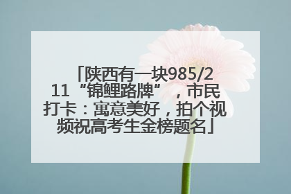 陕西有一块985/211“锦鲤路牌”，市民打卡：寓意美好，拍个视频祝高考生金榜题名