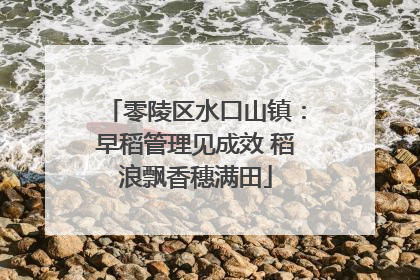 零陵区水口山镇：早稻管理见成效 稻浪飘香穗满田