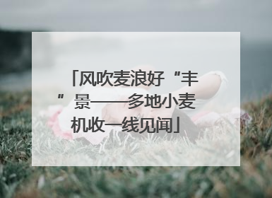 风吹麦浪好“丰”景——多地小麦机收一线见闻