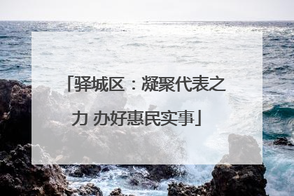 驿城区：凝聚代表之力 办好惠民实事