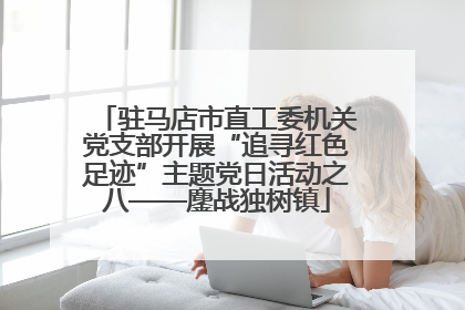 驻马店市直工委机关党支部开展“追寻红色足迹”主题党日活动之八——鏖战独树镇