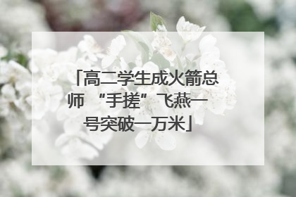 高二学生成火箭总师 “手搓”飞燕一号突破一万米