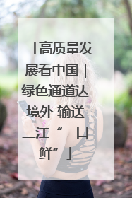 高质量发展看中国｜绿色通道达境外 输送三江“一口鲜”