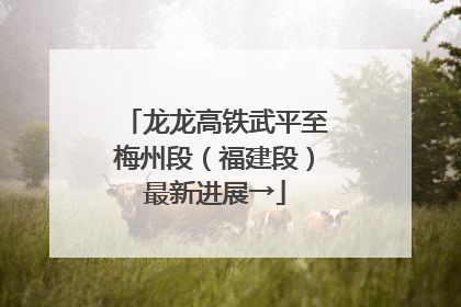 龙龙高铁武平至梅州段（福建段）最新进展→