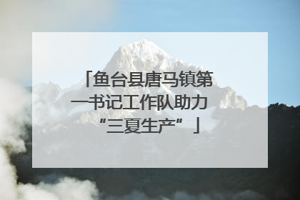 鱼台县唐马镇第一书记工作队助力“三夏生产”