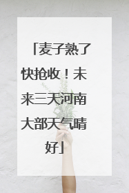 麦子熟了快抢收！未来三天河南大部天气晴好