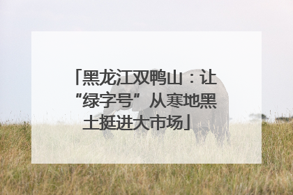 黑龙江双鸭山：让“绿字号”从寒地黑土挺进大市场