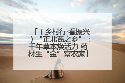 （乡村行·看振兴）“正北芪之乡”：千年草本焕活力 药材生“金”富农家