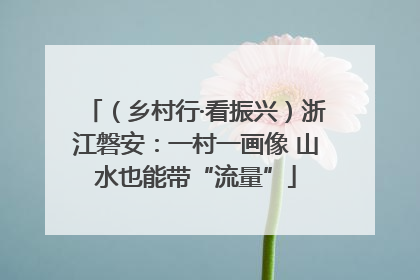（乡村行·看振兴）浙江磐安：一村一画像 山水也能带“流量”