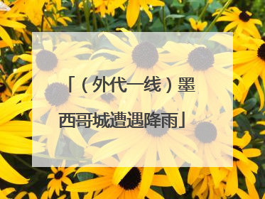 （外代一线）墨西哥城遭遇降雨
