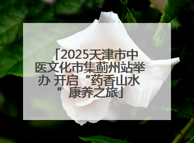 2025天津市中医文化市集蓟州站举办 开启“药香山水”康养之旅