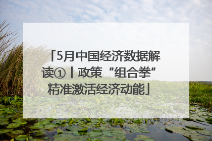 5月中国经济数据解读①丨政策“组合拳”精准激活经济动能