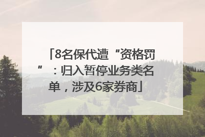 8名保代遭“资格罚”：归入暂停业务类名单，涉及6家券商
