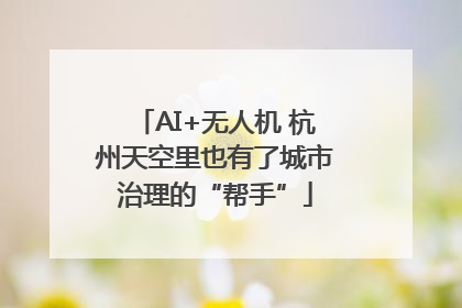 AI+无人机 杭州天空里也有了城市治理的“帮手”