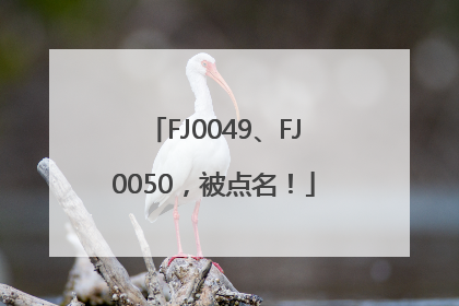 FJ0049、FJ0050，被点名！